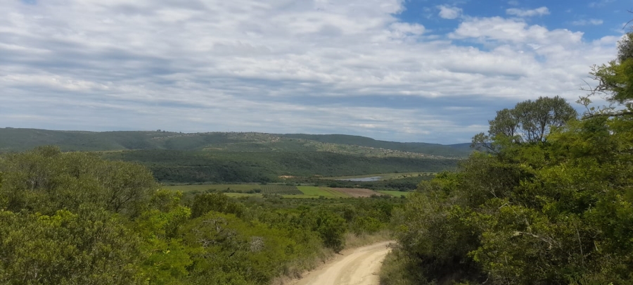 Commercial Property for Sale in Komga Rural Eastern Cape